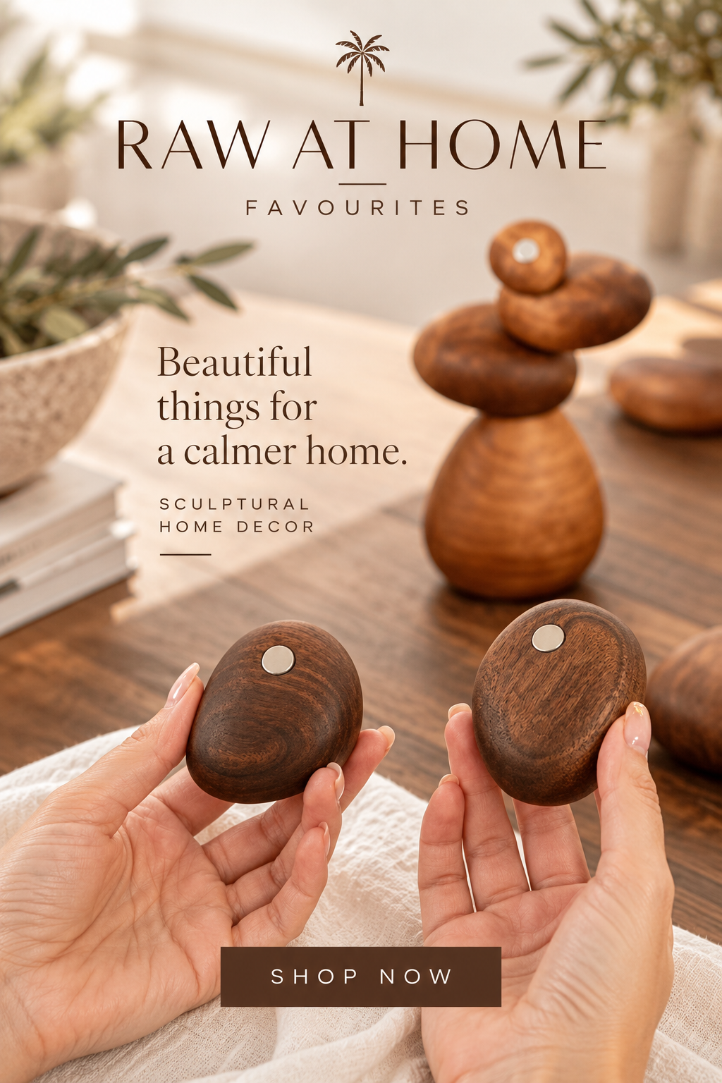 The Playful Balance | Wooden Sculptural Puzzle