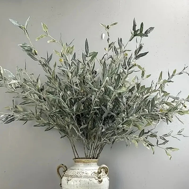 Olive Tree Branches