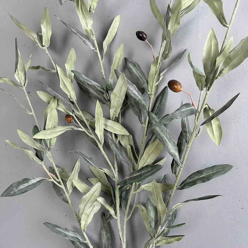 Olive Tree Branches