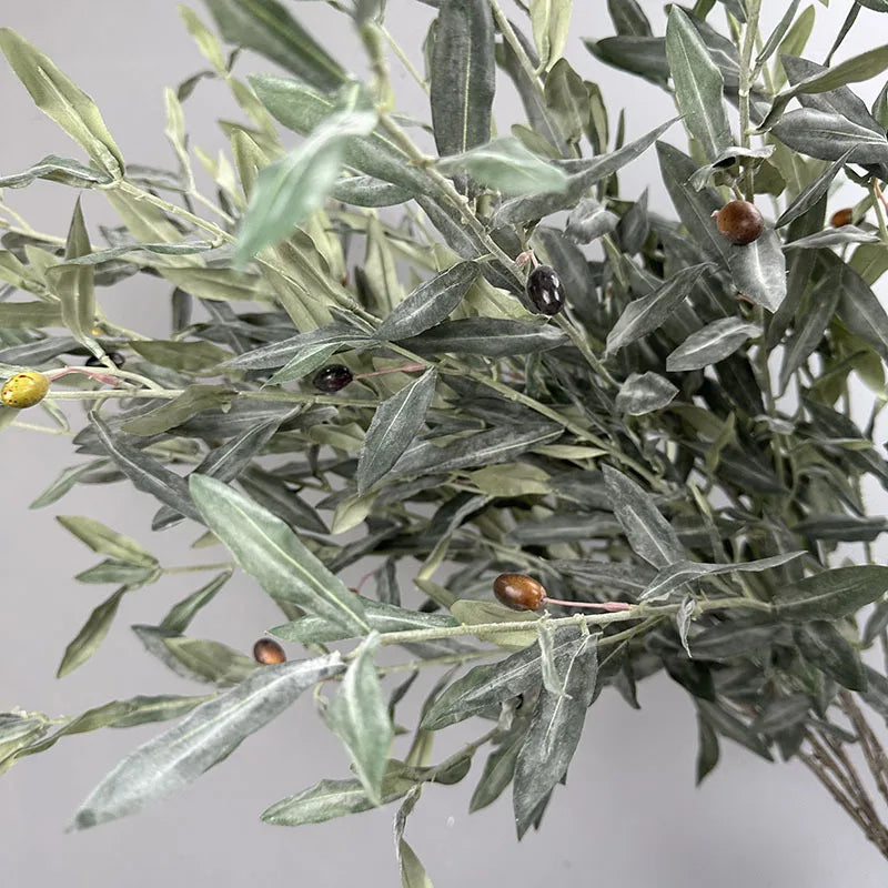 Olive Tree Branches
