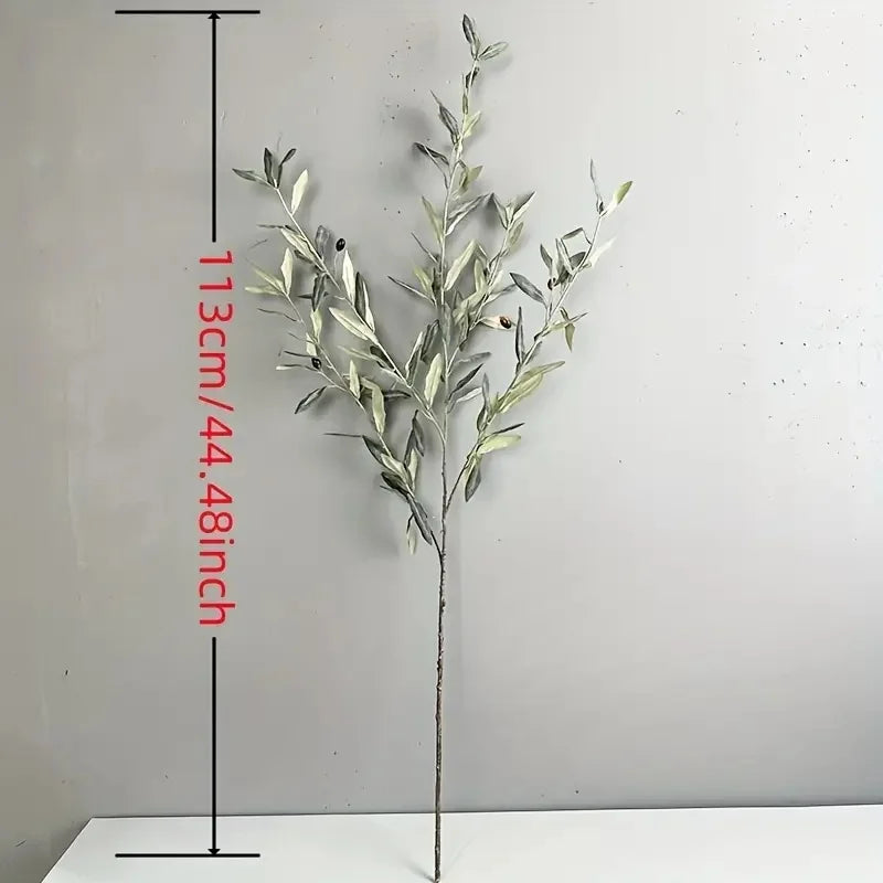 Olive Tree Branches